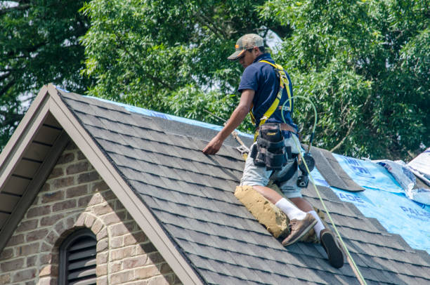 Best Metal Roofing Contractor  in Brimfield, OH